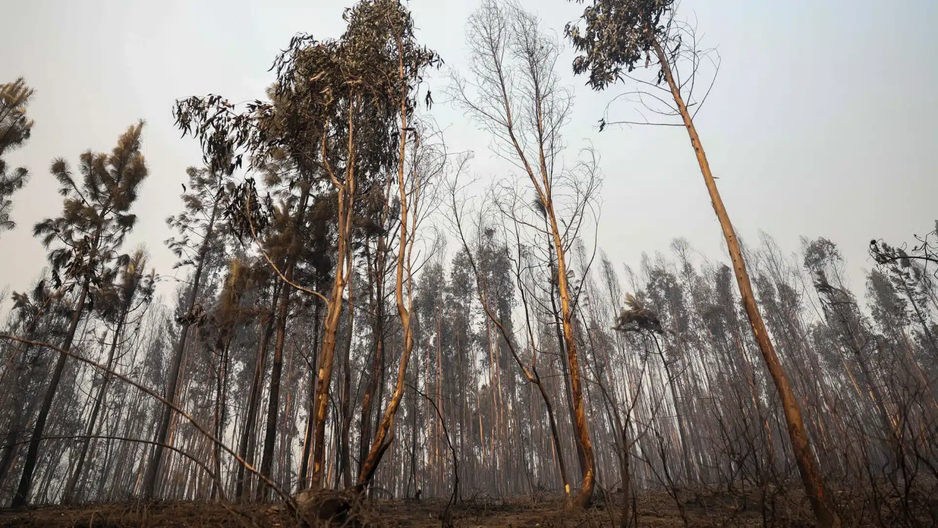 L'Association Zero avertit de la nécessité de stabiliser les terrains affectés.