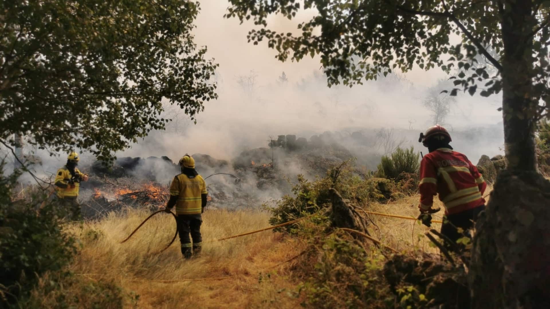 Le feu a laissé une "très grande" trace de destruction à Aguiar da Beira.
