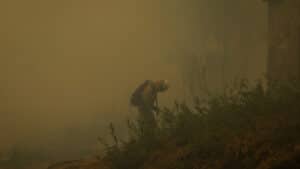 Le feu dans le Douro international a "commencé à céder aux moyens de lutte".