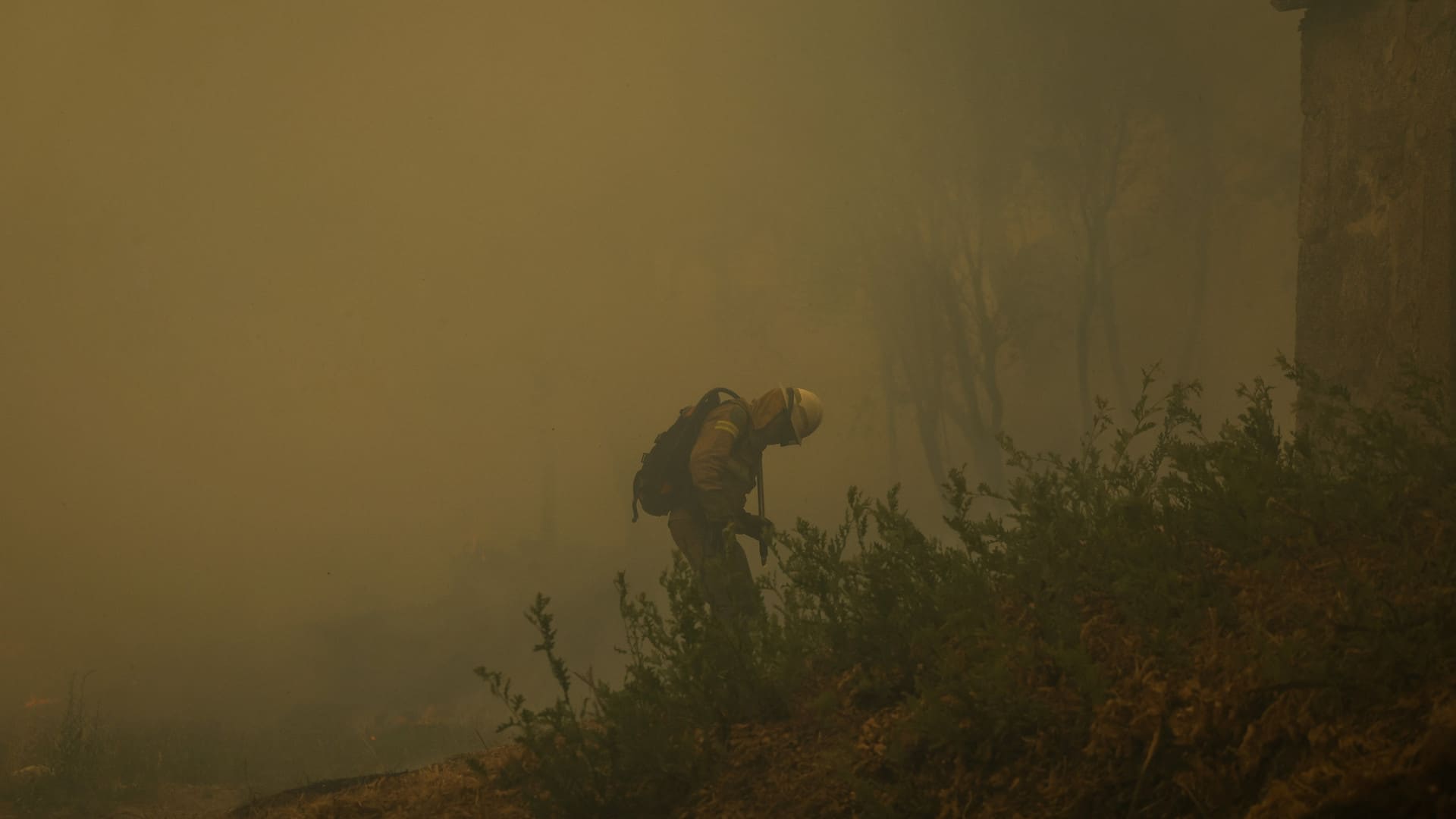 Le feu dans le Douro international a "commencé à céder aux moyens de lutte".