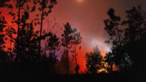 Le feu d'Arganil revient entrer dans Pampilhosa da Serra près de Casal Novo