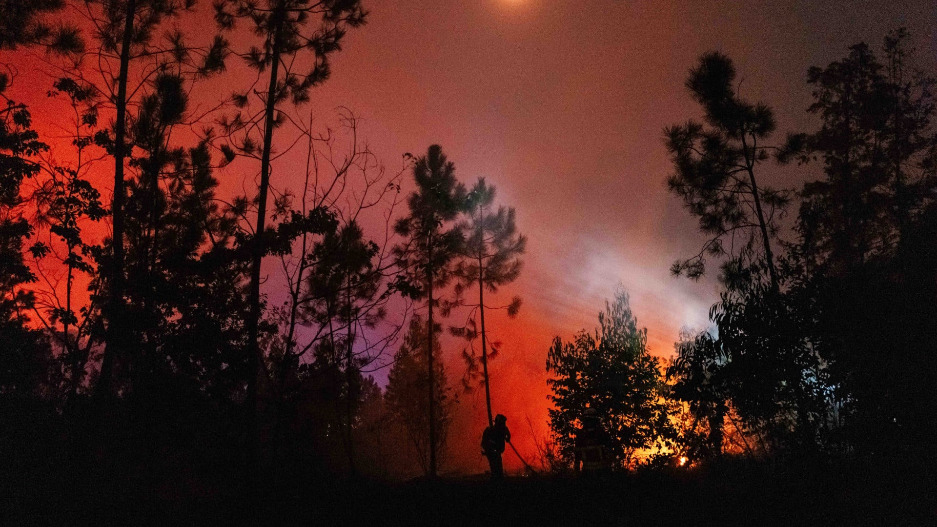 Le feu d'Arganil revient entrer dans Pampilhosa da Serra près de Casal Novo