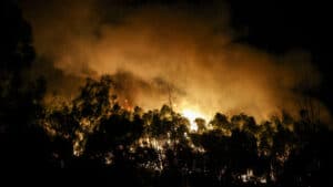 Le feu d'Arouca reste avec un front actif à Cinfães.