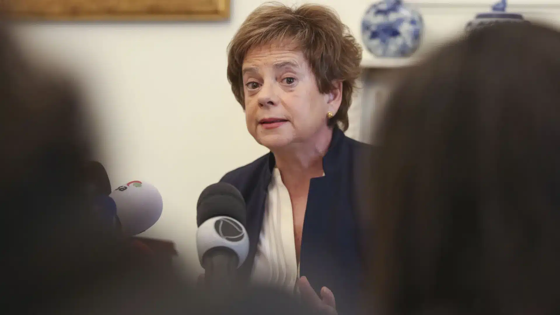 Le gouvernement veut la "contribution des chercheurs" pour résoudre le problème des incendies.