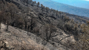 Le Portugal sans incendies significatifs, mais 40 municipalités sont en danger maximal.