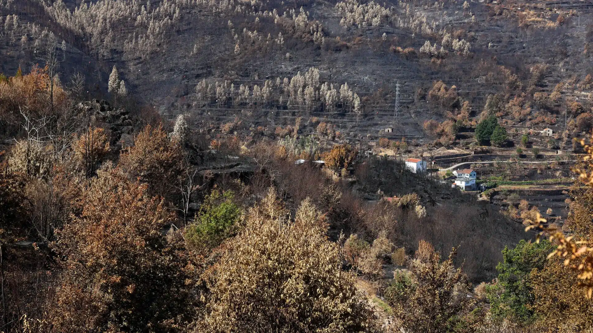 Le tourisme avec des "annulations massives" après les incendies attend des mesures de soutien.