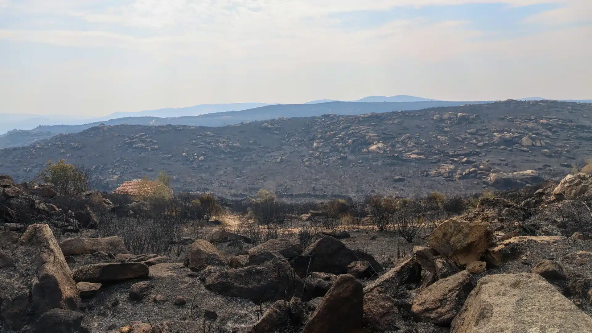 Les élus transmontanos veulent convertir la zone brûlée en zone agricole.