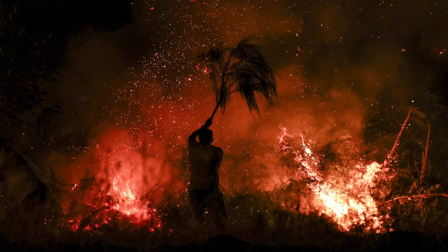Governo lamenta vítima mortal nos incêndios e pede 