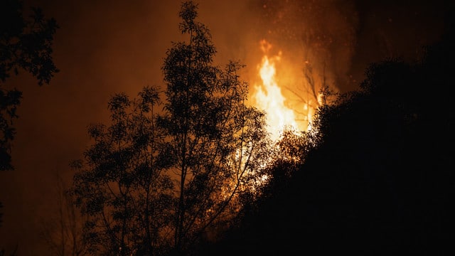 Ex-autarca de Vila Franca do Deão morre a combater fogo
