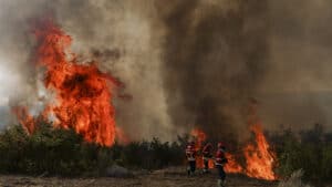 Les incendies ont déjà consumé 139 000 hectares, 17 fois la superficie brûlée en 2024.
