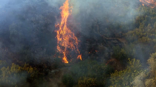 Les mesures de soutien aux personnes touchées par les incendies avec un impact sur le portefeuille.