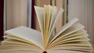 Livre 'Pedro Alecrim', d'António Mota, traduit en mirandais