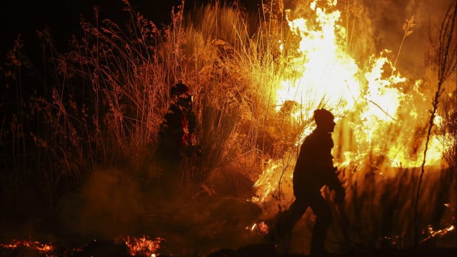 "Miracle". Pedro a tout perdu dans l'incendie mais a réussi à sauver les animaux.