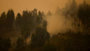 Moyens renforcés dans l'incendie à Vila Real. Il y a trois fronts actifs.