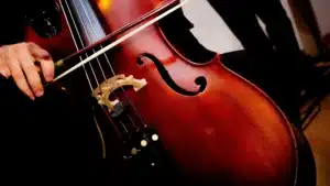 Ophélie Gaillard parmi les participantes du festival de violoncelle à Coimbra