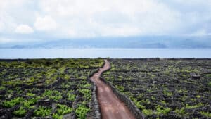 Pêcheur "d'environ 60 ans" meurt dans un port de l'île açorienne de Faial.