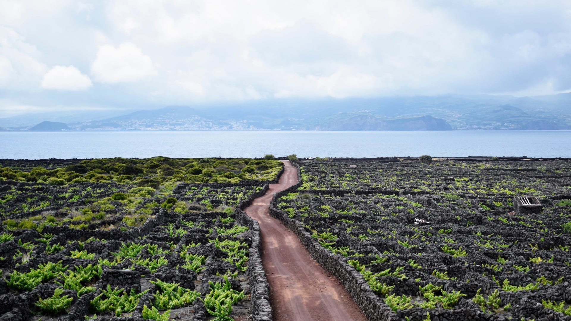 Pêcheur "d'environ 60 ans" meurt dans un port de l'île açorienne de Faial.