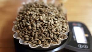 Pékin ouvre le marché au café brésilien en réponse aux taxes des États-Unis