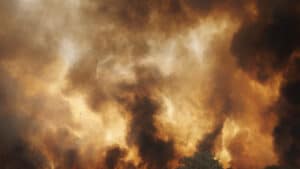 Plus de 1 600 opérateurs combattent les flammes au Portugal cette nuit.