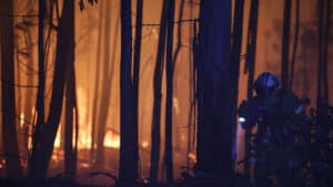 Plus de 180 opérateurs combattent un incendie de forêt à Trancoso.
