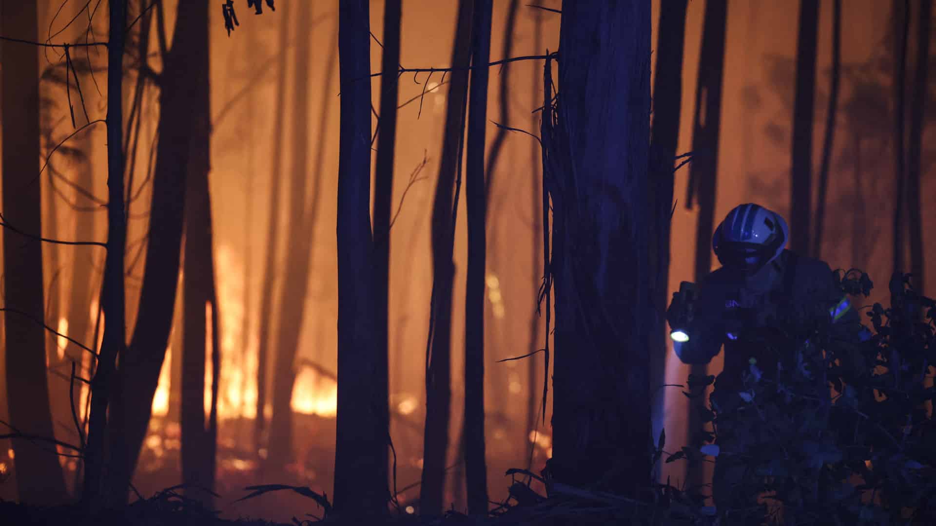 Plus de 180 opérateurs combattent un incendie de forêt à Trancoso.