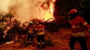 Plus de 2 300 opérations sur les incendies à Arganil, Sabugal, Mirandela et Montalegre.