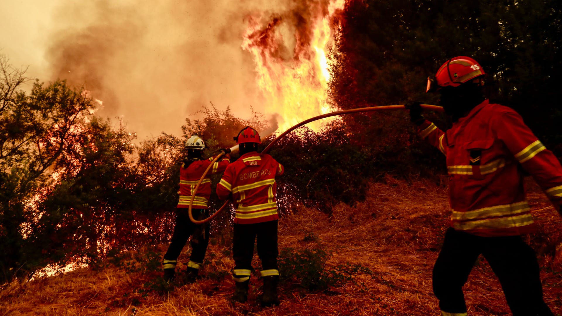Plus de 2 300 opérations sur les incendies à Arganil, Sabugal, Mirandela et Montalegre.