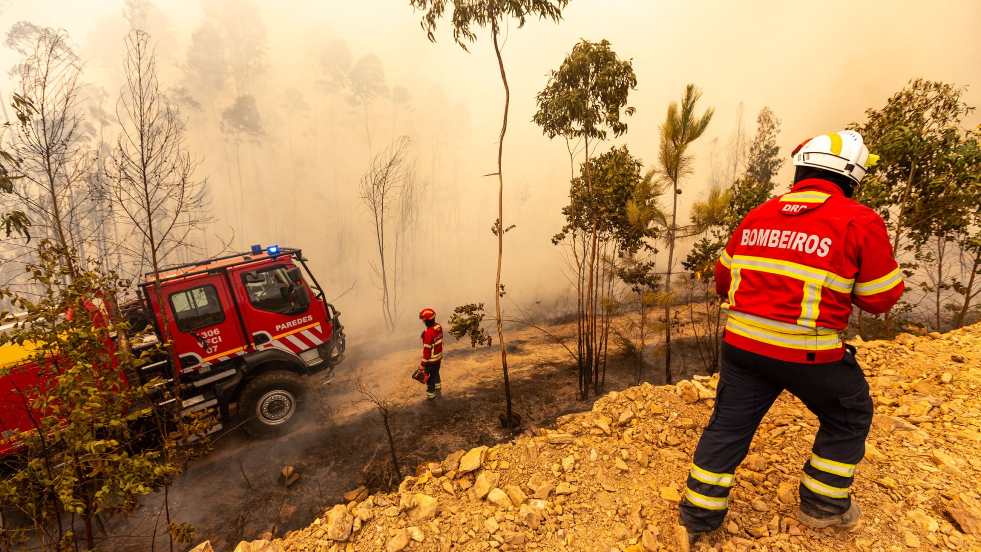 Plus de 2 600 opérateurs et 23 moyens aériens combattaient des incendies à 16h00.