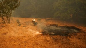 Plus de 240 pompiers luttent contre les flammes dans la Serra da Lousã.