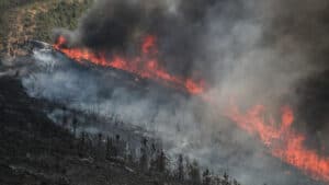 Plus de 3 500 opérateurs luttent contre les plus grands incendies sur le continent.