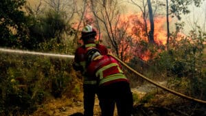 Plus de 3 550 agents combattaient 8 principaux incendies ruraux à minuit.