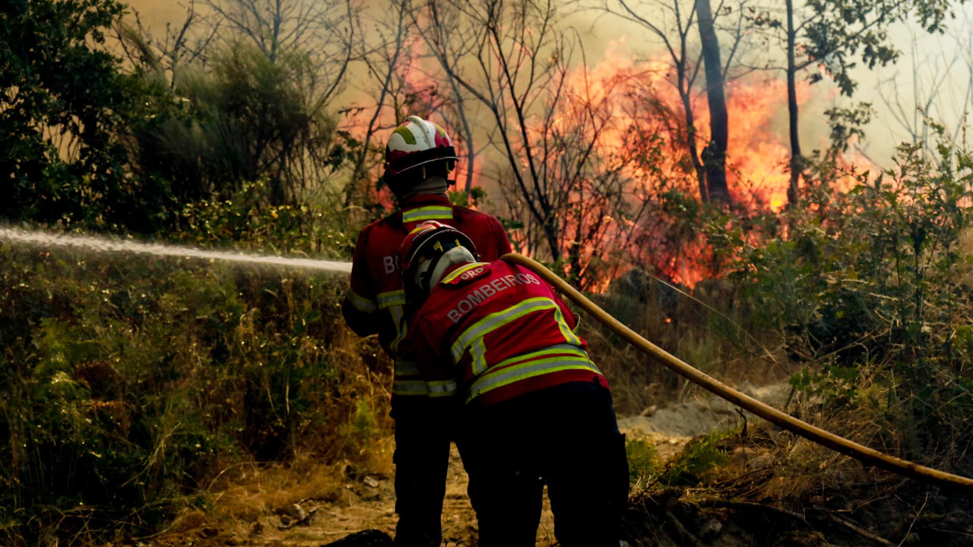 Plus de 3 550 agents combattaient 8 principaux incendies ruraux à minuit.