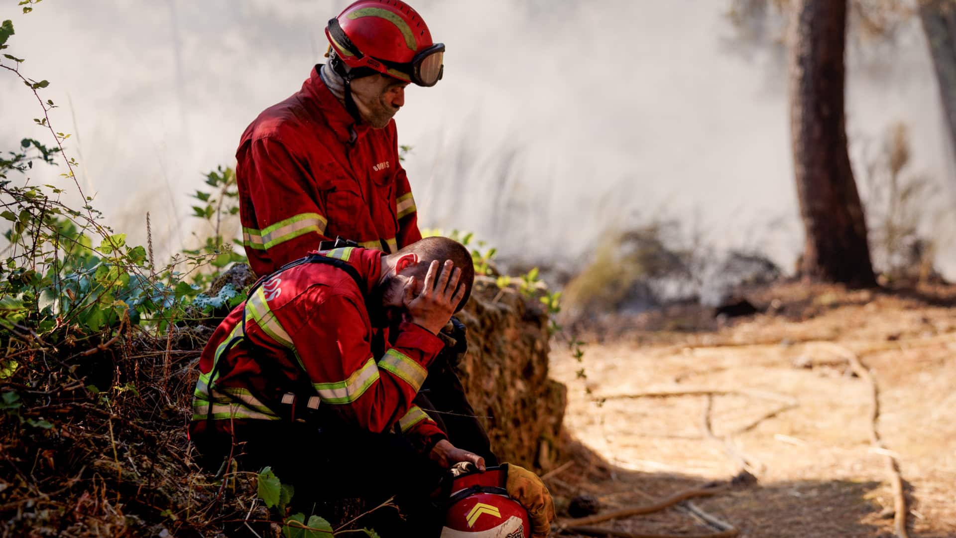 Plus de 90 incendies combattus par environ 1 980 opérateurs vers 14h30.