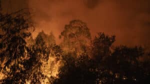 Plusieurs routes coupées à Sabrosa en raison de l'incendie