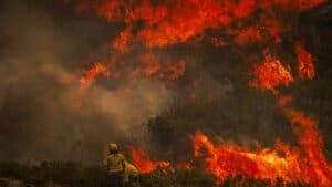 Près de 2 000 pompiers combattent les flammes au Portugal continental.