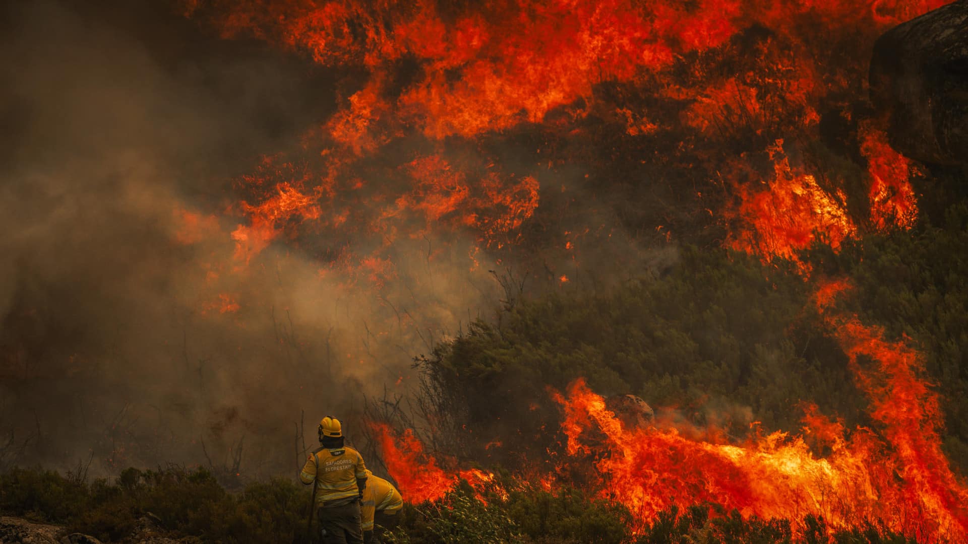 Près de 2 000 pompiers combattent les flammes au Portugal continental.