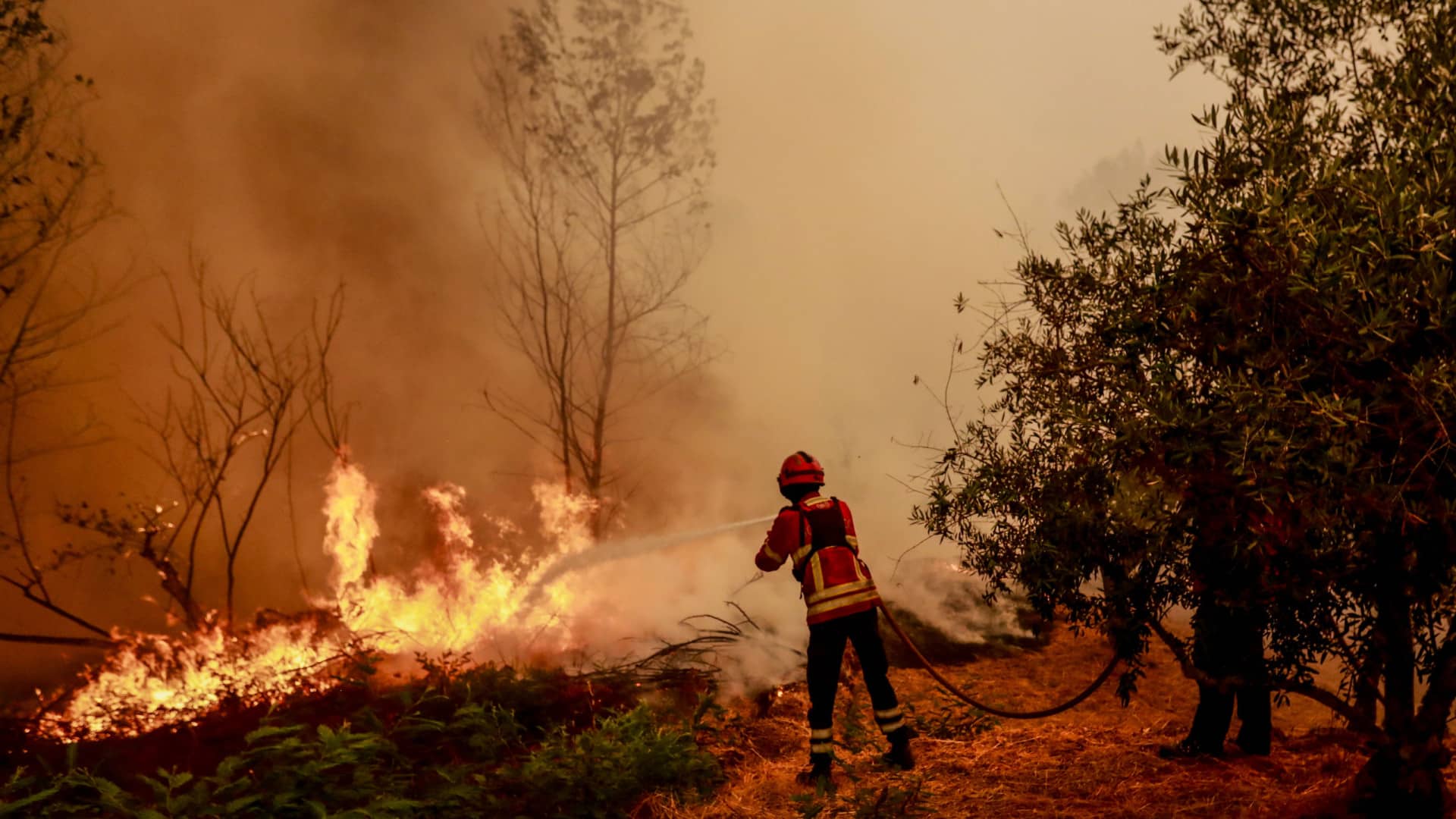 Près de 2 800 agents combattaient à 04h30 les cinq plus grands incendies.