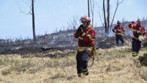 Près de 8 000 hectares brûlés à Trancoso depuis samedi