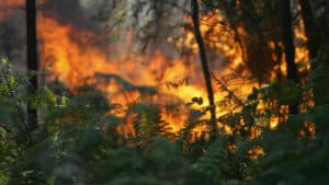 Quelles sont les interdictions pendant la situation d'alerte Que cela implique Percevez