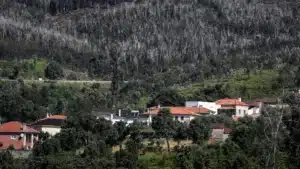 Reconstruction des maisons à Pedrógão a été suspendue en raison d'un manque de paiement