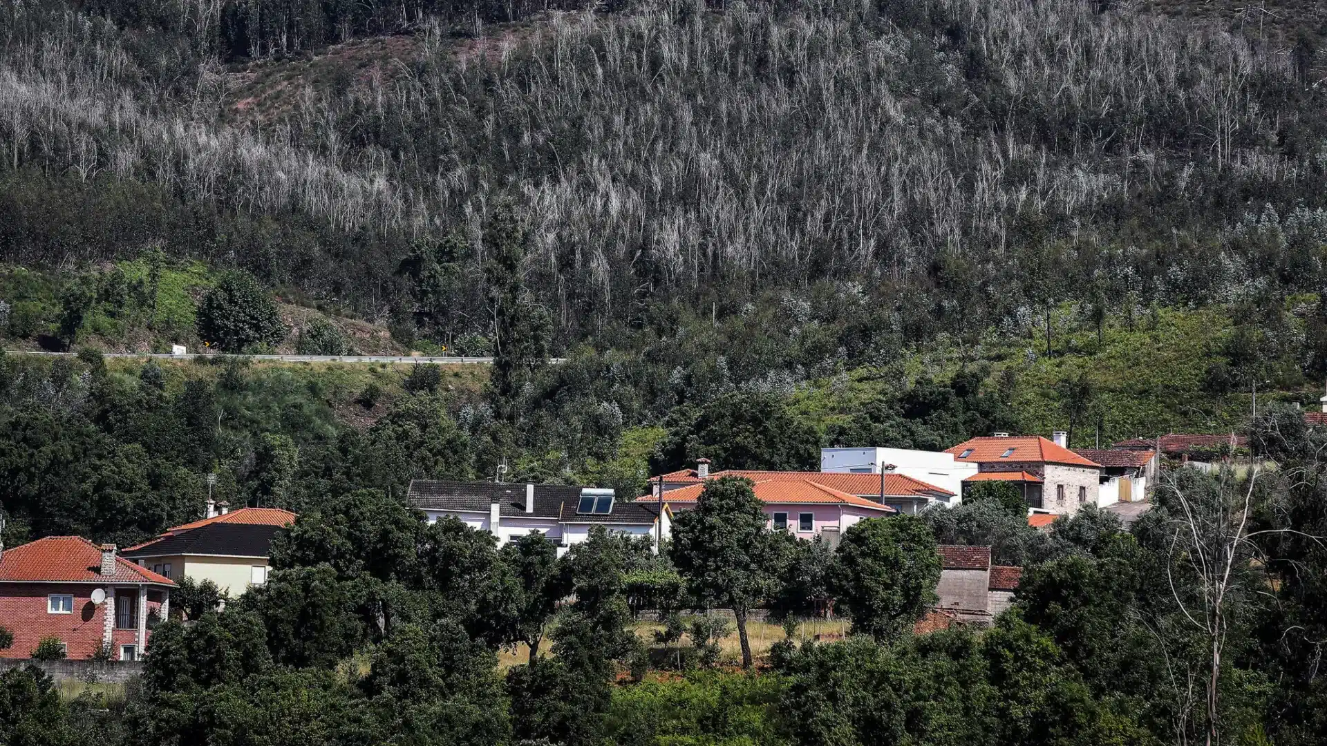Reconstruction des maisons à Pedrógão a été suspendue en raison d'un manque de paiement