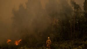 Renforcement des moyens pour le feu dans la Serra do Alvão à Ribeira de Pena.