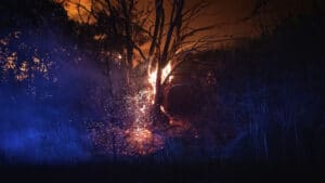 Reprises et incendies dans les communes voisines préoccupent Oliveira do Hospital.
