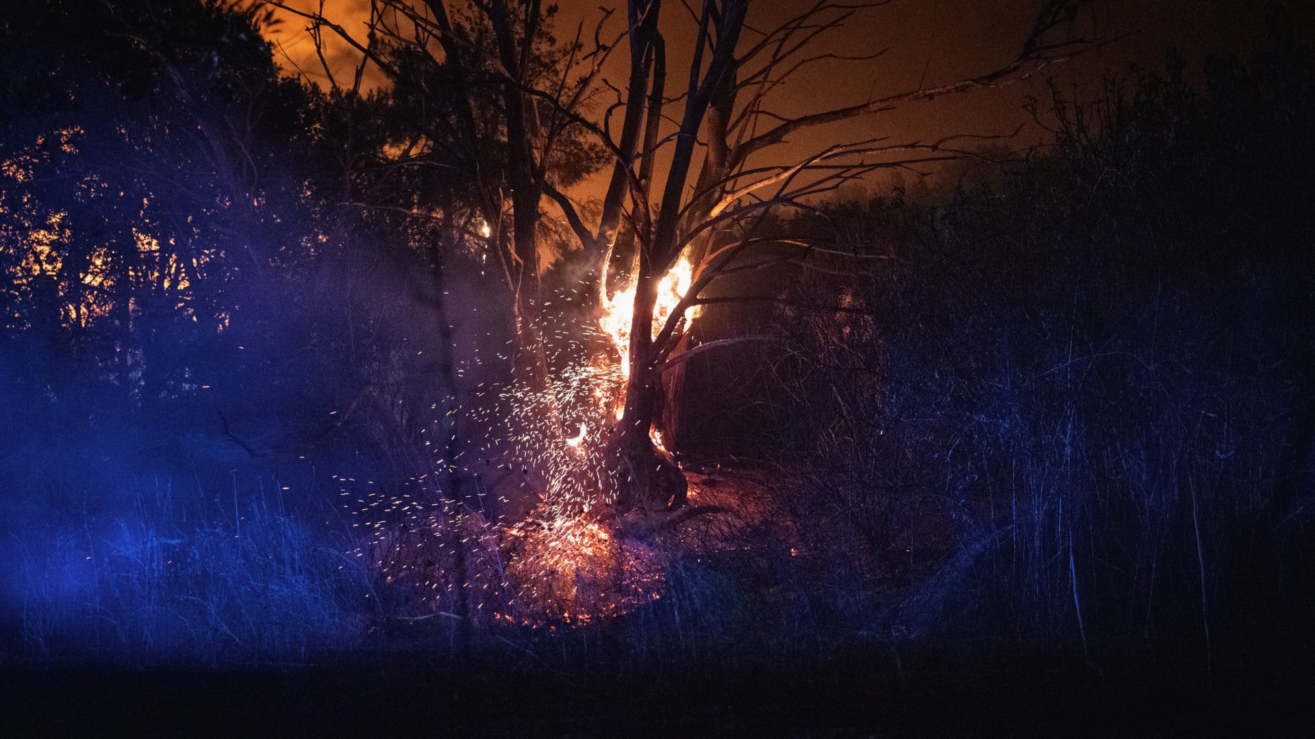 Reprises et incendies dans les communes voisines préoccupent Oliveira do Hospital.