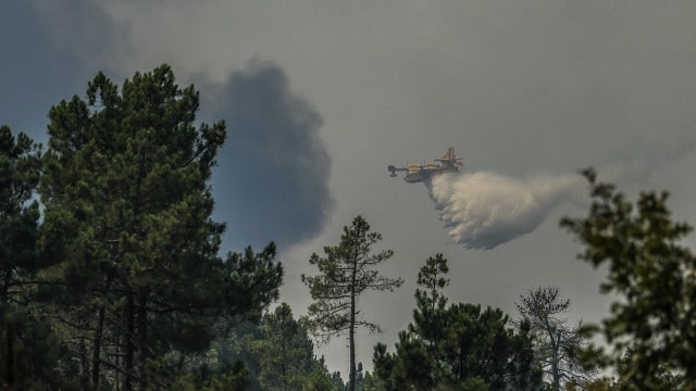 Situation d'alerte due aux incendies prolongée jusqu'à vendredi
