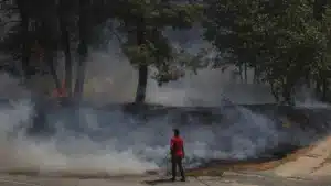 Sept maisons d'habitation principale et 39 inoccupées ont brûlé à Sernancelhe.
