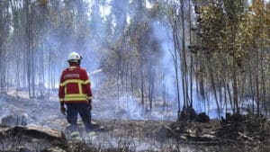 Sept moyens aériens et 135 agents combattent un incendie à Sabrosa.