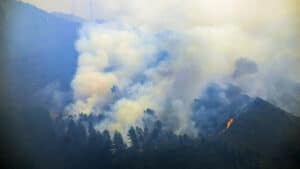 Serra do Alvão touchée par un nouvel incendie à Alvadia à Ribeira de Pena