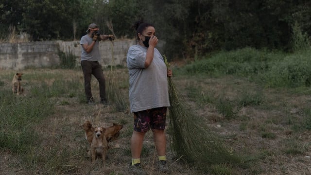 "S'est propagé pendant la nuit." Le feu s'approche du village de Loriga.