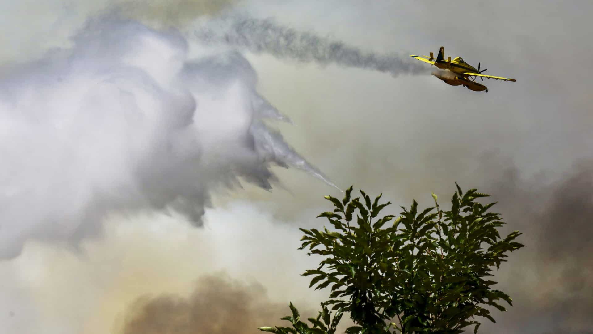 Six moyens aériens et plus de 300 opérationnels luttent contre les flammes à Covilhã.